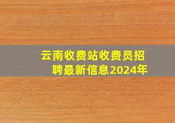 云南收费站收费员招聘最新信息2024年