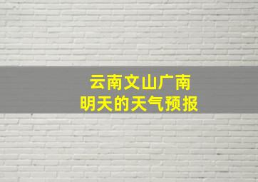 云南文山广南明天的天气预报