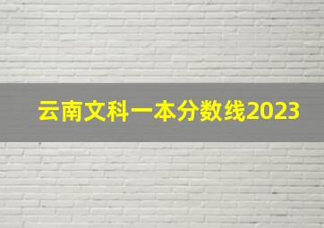 云南文科一本分数线2023