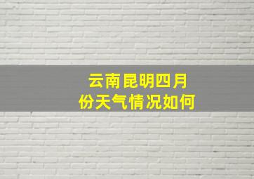 云南昆明四月份天气情况如何