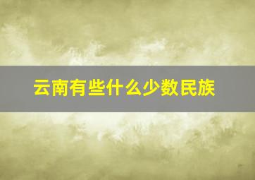 云南有些什么少数民族