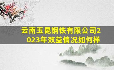 云南玉昆钢铁有限公司2023年效益情况如何样