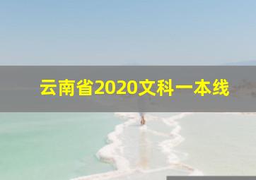 云南省2020文科一本线