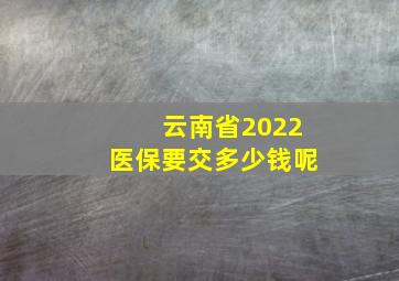 云南省2022医保要交多少钱呢