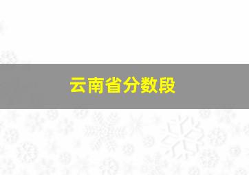 云南省分数段