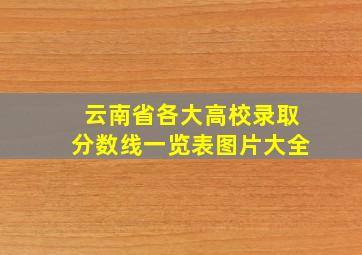 云南省各大高校录取分数线一览表图片大全