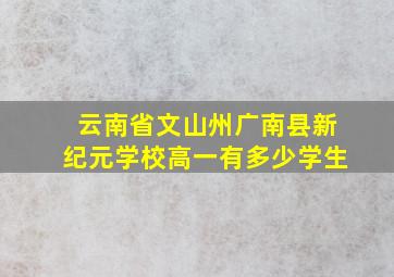 云南省文山州广南县新纪元学校高一有多少学生