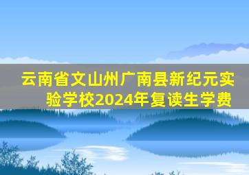 云南省文山州广南县新纪元实验学校2024年复读生学费