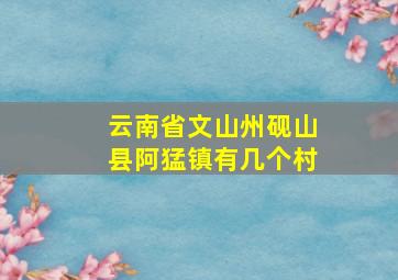 云南省文山州砚山县阿猛镇有几个村