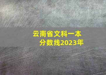 云南省文科一本分数线2023年