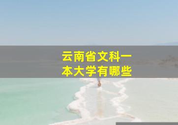 云南省文科一本大学有哪些