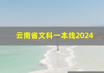 云南省文科一本线2024