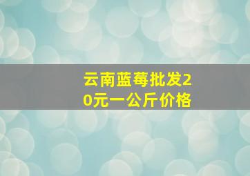 云南蓝莓批发20元一公斤价格