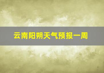 云南阳朔天气预报一周