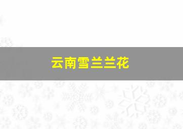 云南雪兰兰花