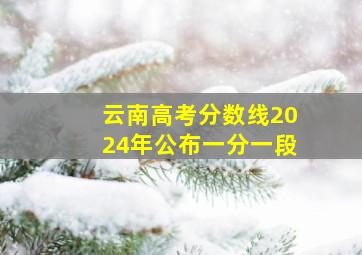 云南高考分数线2024年公布一分一段