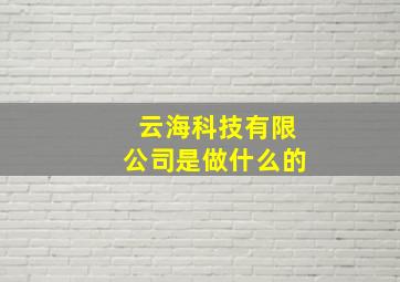 云海科技有限公司是做什么的