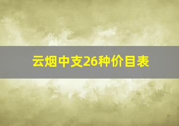 云烟中支26种价目表