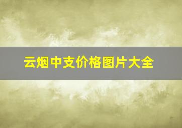 云烟中支价格图片大全