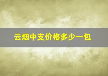 云烟中支价格多少一包