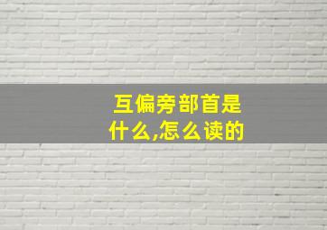 互偏旁部首是什么,怎么读的