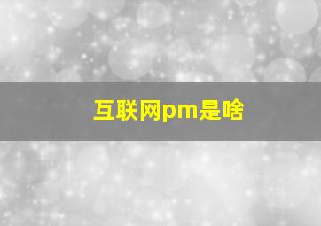 互联网pm是啥