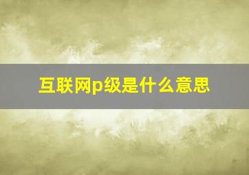 互联网p级是什么意思