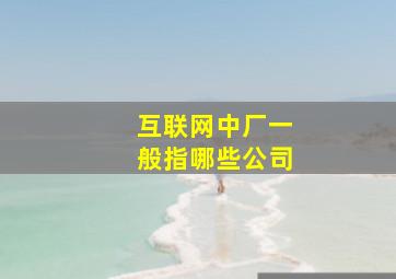 互联网中厂一般指哪些公司