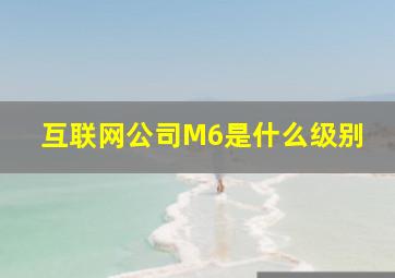 互联网公司M6是什么级别