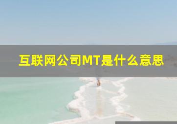 互联网公司MT是什么意思