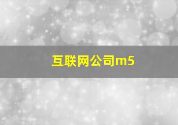 互联网公司m5