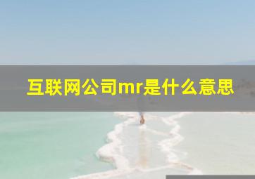 互联网公司mr是什么意思