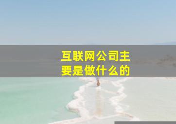 互联网公司主要是做什么的