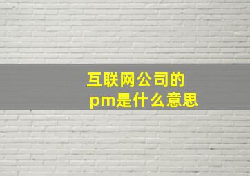 互联网公司的pm是什么意思