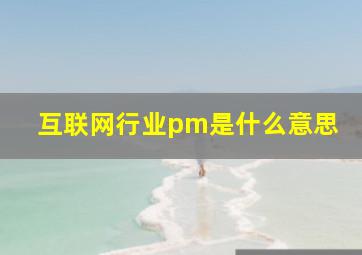 互联网行业pm是什么意思