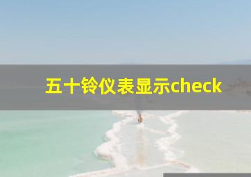 五十铃仪表显示check