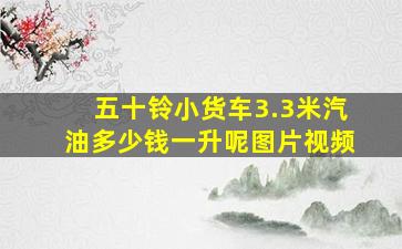 五十铃小货车3.3米汽油多少钱一升呢图片视频