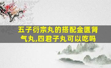 五子衍宗丸的搭配金匮肾气丸,四君子丸可以吃吗