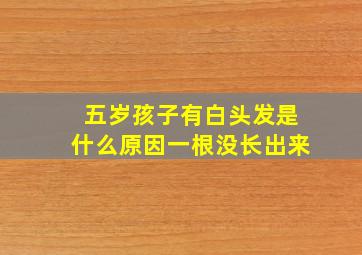 五岁孩子有白头发是什么原因一根没长出来