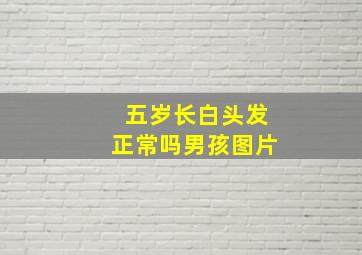 五岁长白头发正常吗男孩图片