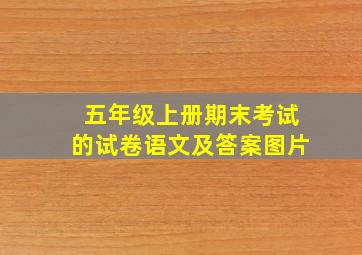 五年级上册期末考试的试卷语文及答案图片