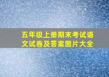 五年级上册期末考试语文试卷及答案图片大全