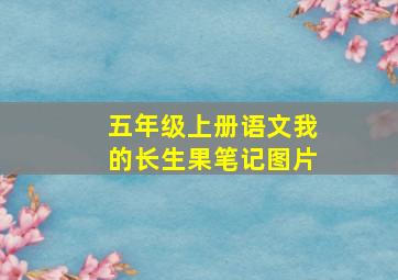 五年级上册语文我的长生果笔记图片