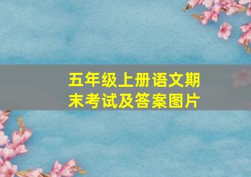 五年级上册语文期末考试及答案图片