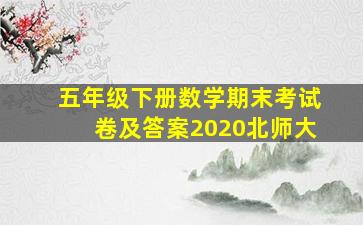 五年级下册数学期末考试卷及答案2020北师大