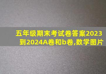 五年级期末考试卷答案2023到2024A卷和b卷,数学图片