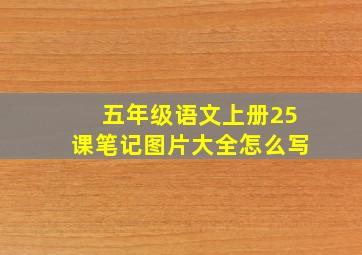 五年级语文上册25课笔记图片大全怎么写