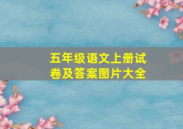 五年级语文上册试卷及答案图片大全