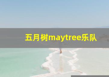 五月树maytree乐队