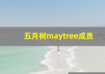 五月树maytree成员